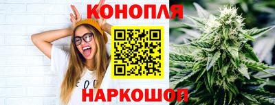 трава Кингисепп