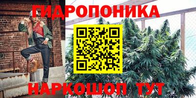 спайс Кимры