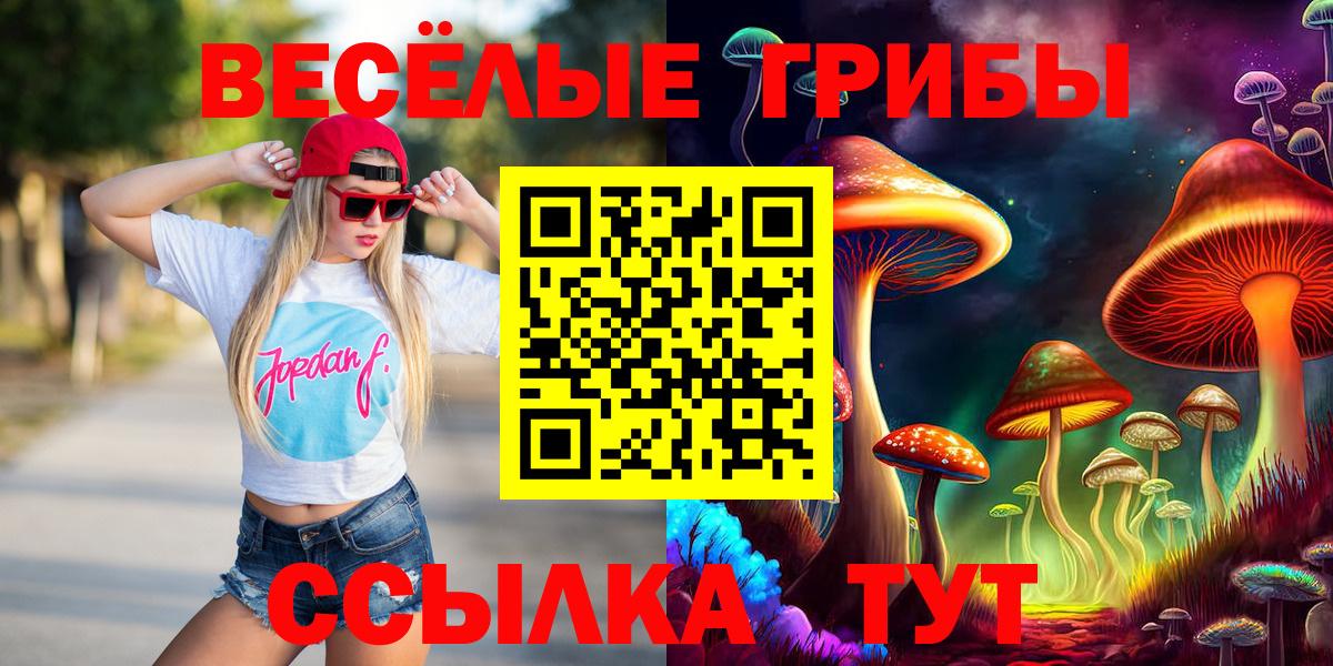 Галлюциногенные грибы Cubensis Солнечногорск
